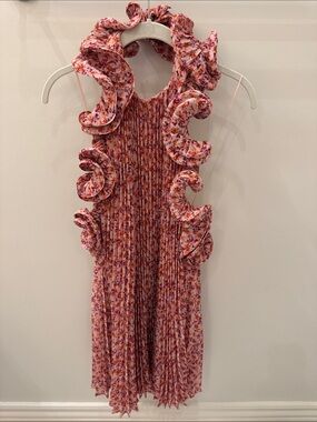 Amur Pink Floral Ruffle Pleated Dress